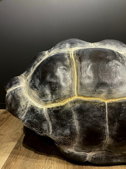 Replica van een Galapagos schildpad schild