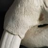 Very heavy walrus skull