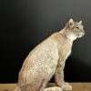 Opgezette Lynx