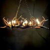 Hanglamp van gewei