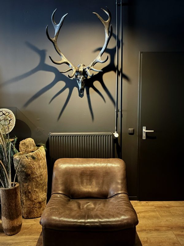 Edelhert gewei "charcoal"