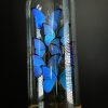 Antieke Stolp met blauwe Morpho's