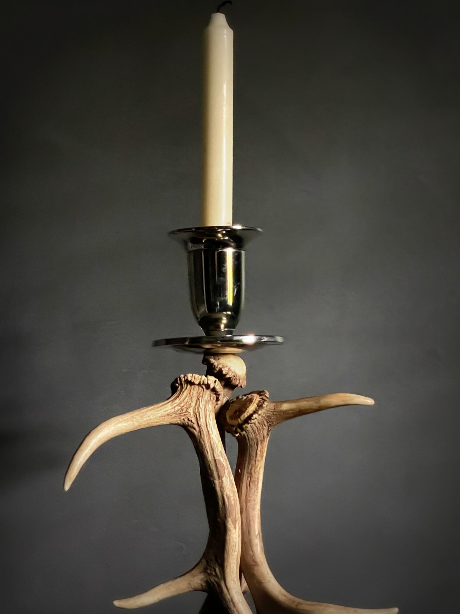 Fallow deer antler candlesticks S BEAST Interiors