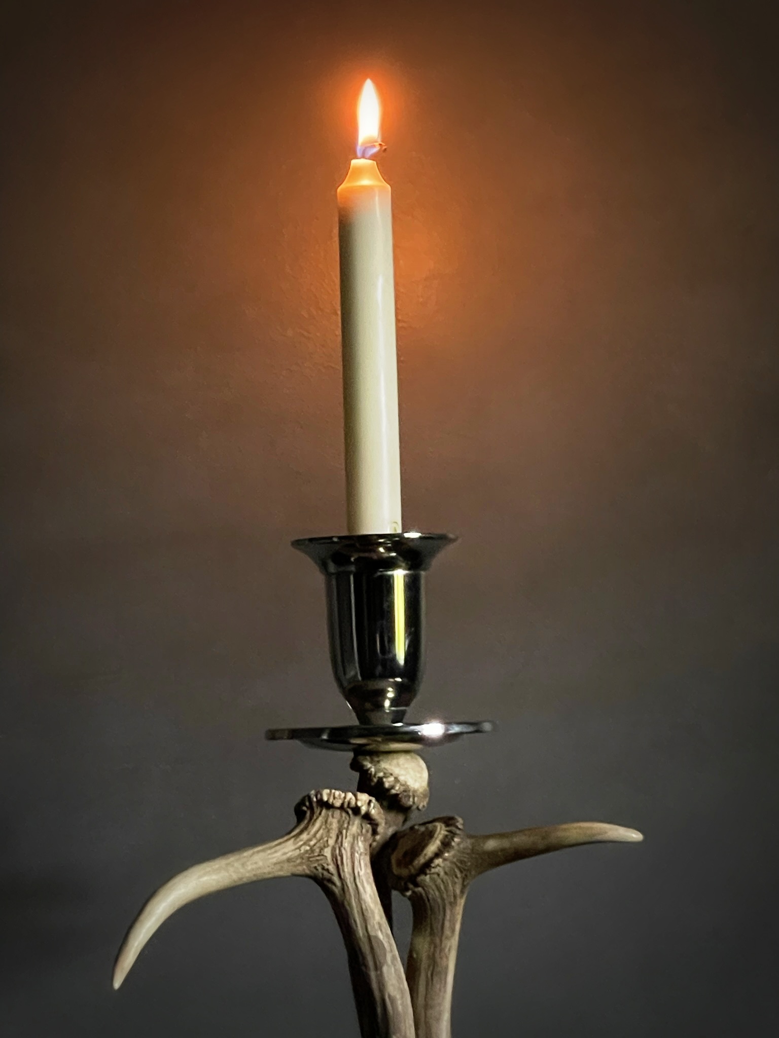Fallow deer antler candlesticks S BEAST Interiors
