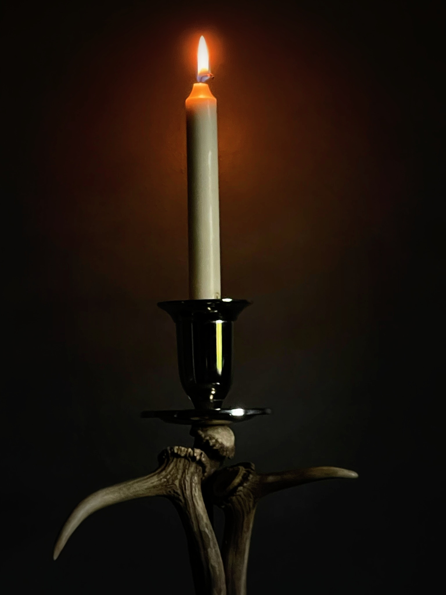 Fallow deer antler candlesticks S BEAST Interiors