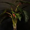 Kunstplant Calocasia tree