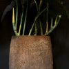 Kunstplant Calocasia XL
