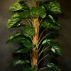 Kunstplant Monstera