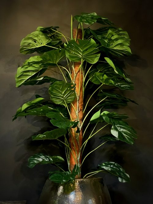 Kunstplant Monstera