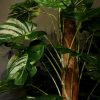 Kunstplant Monstera