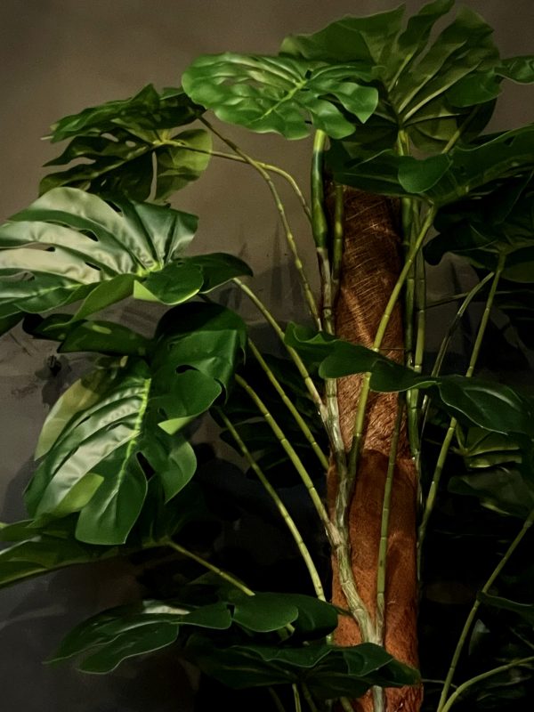 Kunstplant Monstera