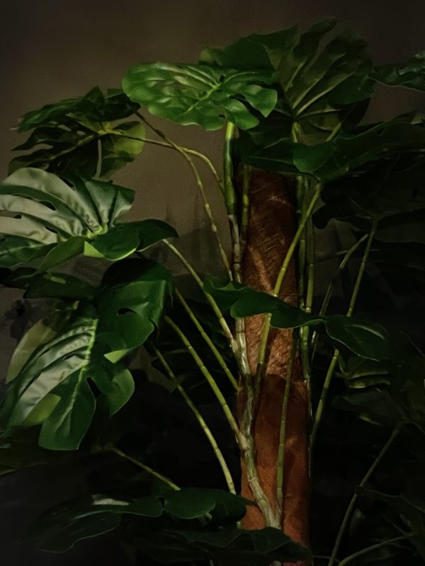 Kunstplant Monstera