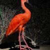 Opgezette rode ibis