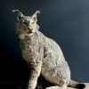 Opgezette Europese Lynx