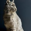 Opgezette Europese Lynx