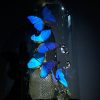 Antieke Stolp met blauwe Morpho's en Antieke Karaf