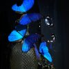 Antieke Stolp met blauwe Morpho's en Antieke Karaf