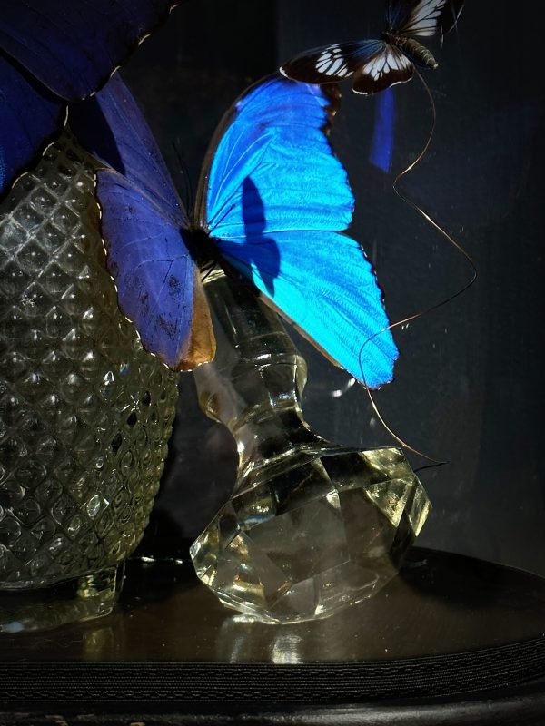 Antieke Stolp met blauwe Morpho's en Antieke Karaf