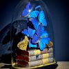 Antieke Stolp met blauwe Morpho's en antieke boeken