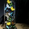 Antieke stolp gevuld met een luxe mix van vlinders Antieke stolp gevuld met een luxe mix van vlinders