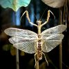 Glazen vitrine met insecten Glazen vitrine met insecten