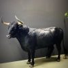 Opgezette Spaanse stier