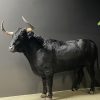 Opgezette Spaanse stier