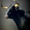 Opgezette Spaanse stier