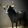 Opgezette Spaanse stier