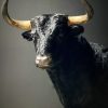 Opgezette Spaanse stier