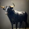 Opgezette Spaanse stier
