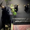 Opgezette Spaanse stier