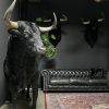 Opgezette Spaanse stier
