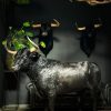 Opgezette Spaanse stier