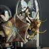 Gemetalliseerde zeester op marmeren sokkel Gemetalliseerde zeester op marmeren sokkel