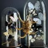 Gouden schelp op marmeren sokkel Gouden schelp op marmeren sokkel