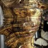 Gouden schelp op marmeren sokkel Gouden schelp op marmeren sokkel