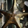Gemetalliseerde zeester op marmeren sokkel Gemetalliseerde zeester op marmeren sokkel