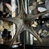 Gemetalliseerde zeester op marmeren sokkel Gemetalliseerde zeester op marmeren sokkel