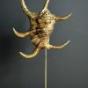 Gouden schelp op marmeren sokkel Gouden schelp op marmeren sokkel