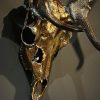 Damhert gewei gemetalliseerd Damhert gewei gemetalliseerd