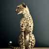 Opgezette Cheetah Opgezette Cheetah