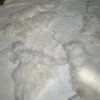 Designer Schafsfell Teppich XL Designer Schafsfell Teppich XL