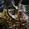 Gouden schelp op marmeren sokkel Gouden schelp op marmeren sokkel