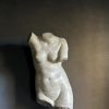 Venus Naakt Buste.