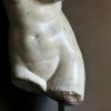 Venus Naakt Buste.