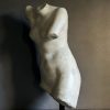 Venus Naakt Buste.