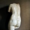 Venus Naakt Buste.