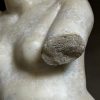 Venus Naakt Buste.