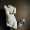Venus Naakt Buste.